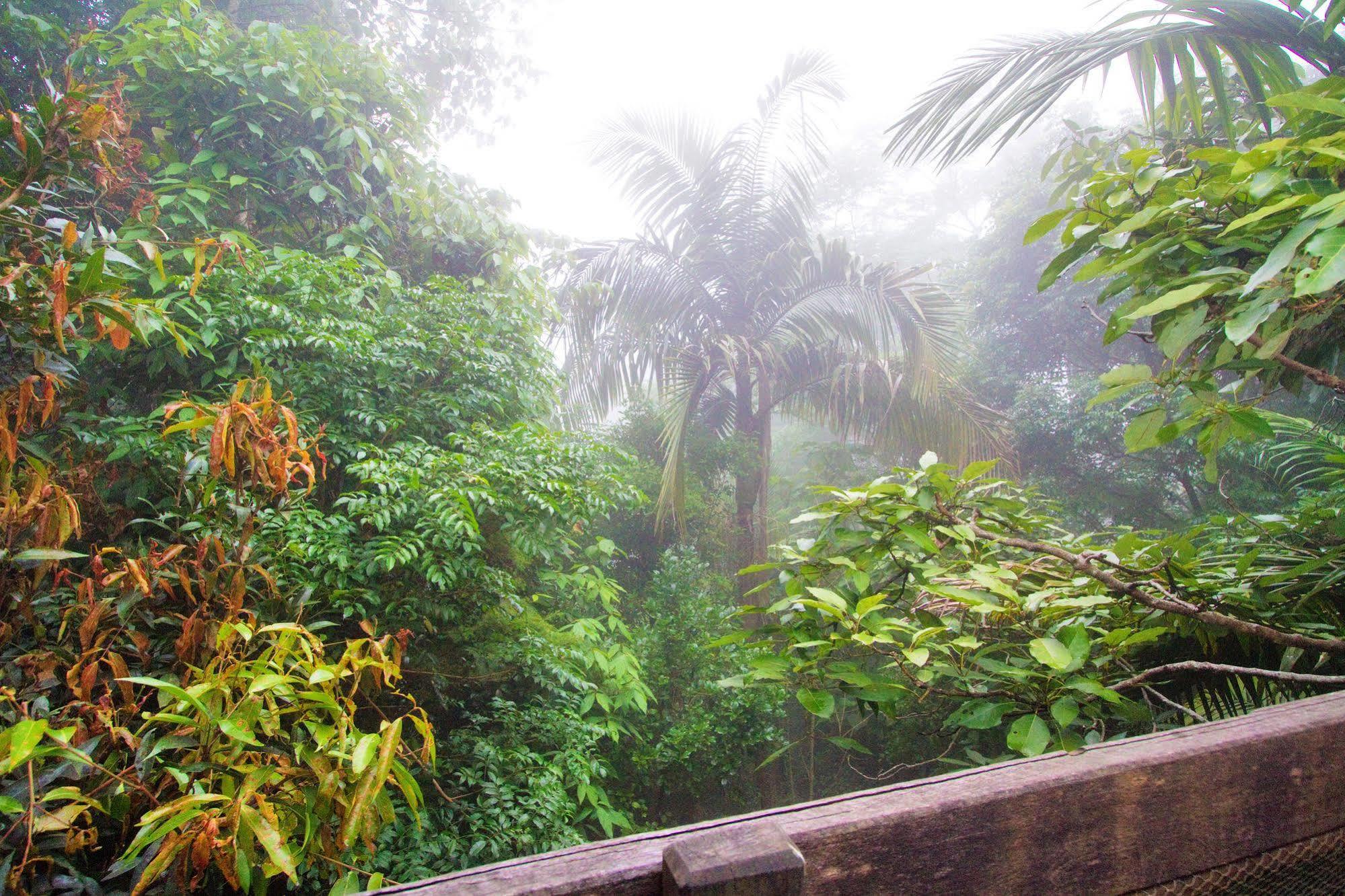 Mt Glorious Getaways Villa Mount Glorious Exterior photo